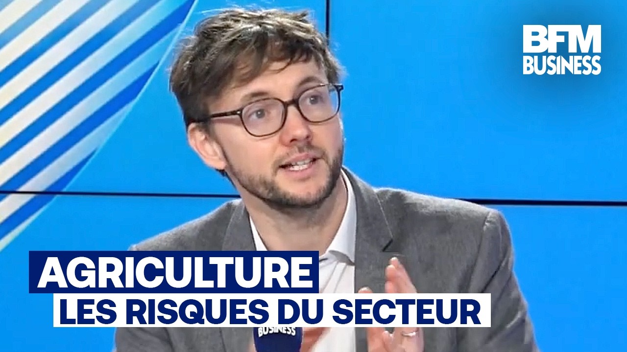 "L'agroalimentaire est en difficultés face aux contextes géopolitique et climatique" (Mikaël Delmas)