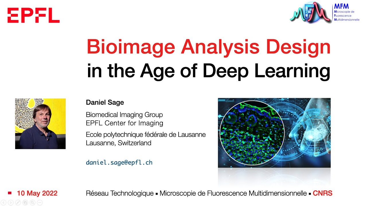 Bioimage Analysis Design in the Age of Deep Learning