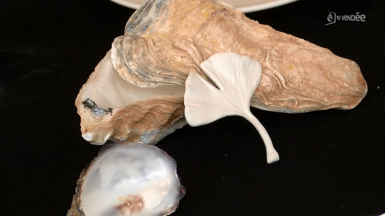 Entreprise :Que deviennent les coquilles d'huîtres de nos fêtes?