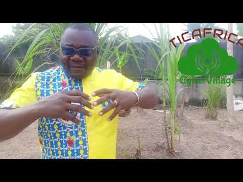 Comment rendre l'inclusion numérique effective dans nos villages.